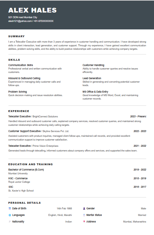 Modern Sidebar Resume