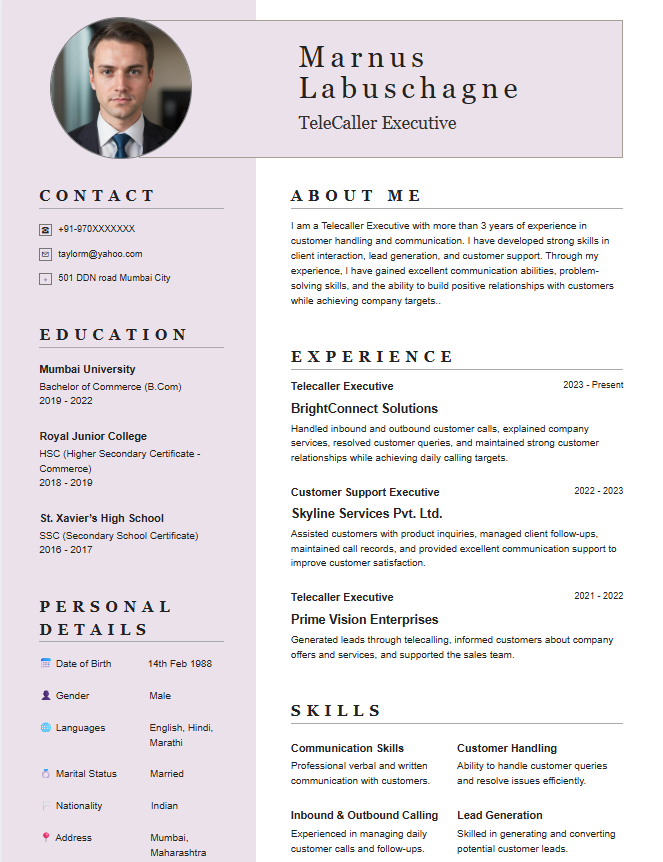 Modern Sidebar Resume