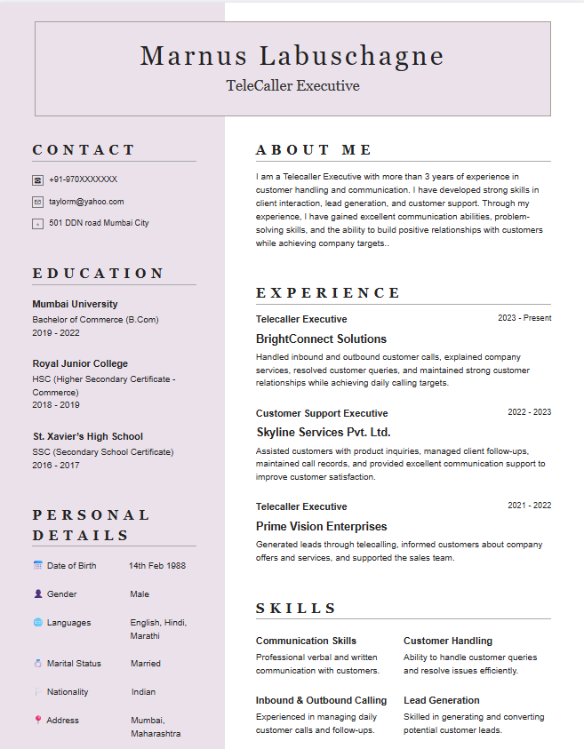 Modern Sidebar Resume
