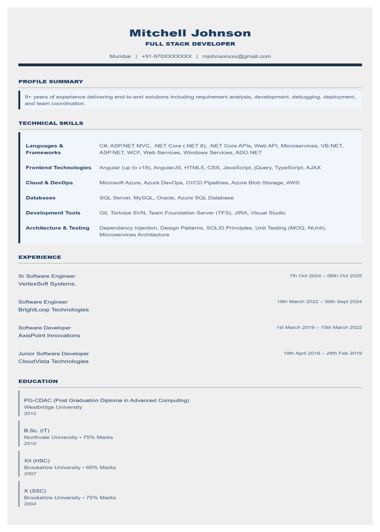 Professional Blue Resume